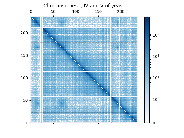 Chromosomes I, IV and V of yeast