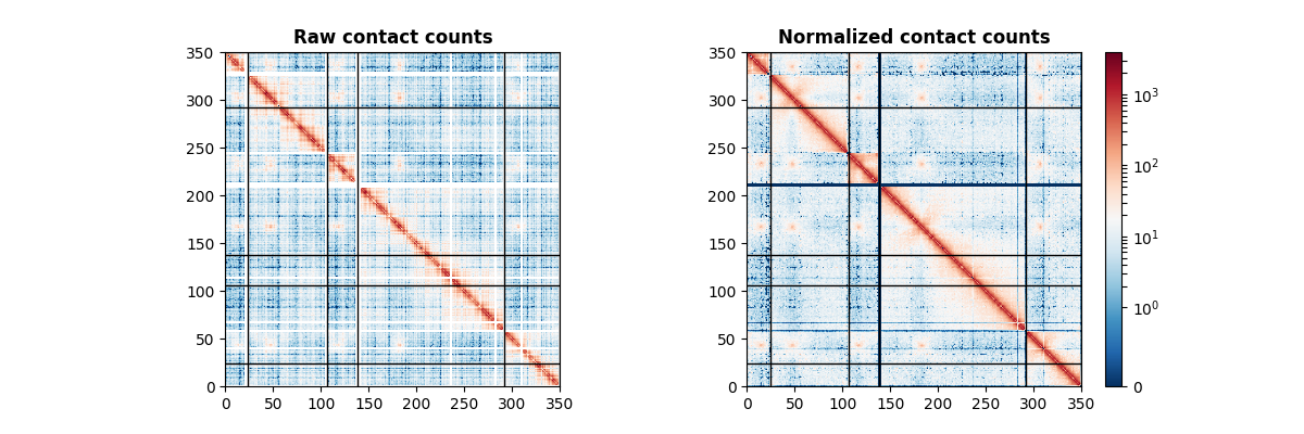 Raw contact counts, Normalized contact counts