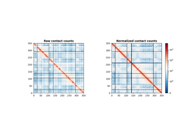 Normalizing a contact count matrix