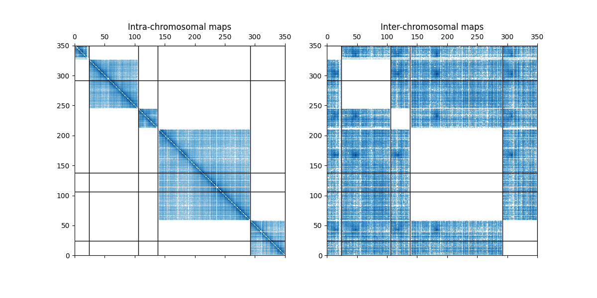 Intra-chromosomal maps, Inter-chromosomal maps