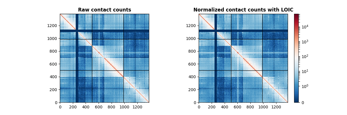 Raw contact counts, Normalized contact counts with LOIC