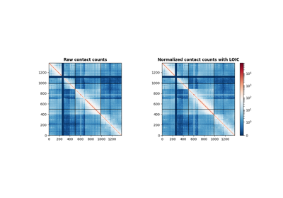 Normalizing a cancer contact count matrix with LOIC